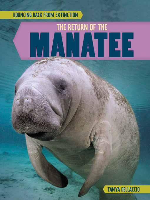 Title details for The Return of the Manatee by Tanya Dellaccio - Available